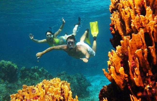 Snorkel em San Andrés - Foto 10