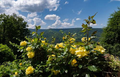 Chalet ensoleillé dans les Hautes Vosges avec terrasse, local vélos et skis, charges incluses - FR-1-589-486 - Foto 10