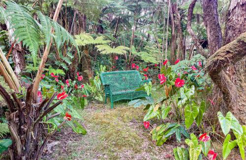 Anthurium Cottage - Foto 6