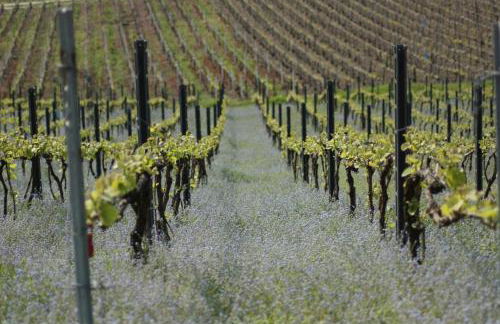 BedinReims "burgundy bottle" 110m2 Exceptional, 4 chambres doubles, 2 bain, free park & wifi, tout équipé - Foto 56