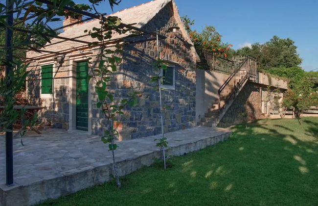 House of Green Experience - Foto 47