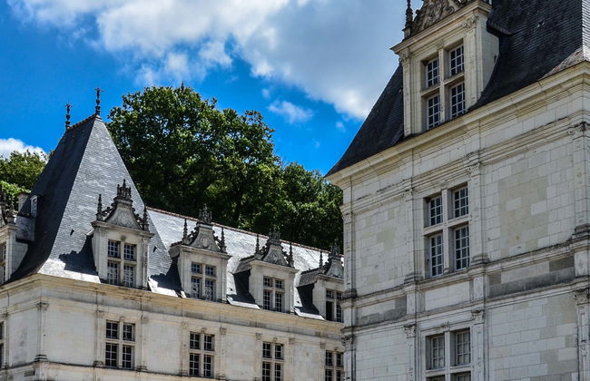 Chateaux de Villandry & Azay-le-Rideau Tour - Photo 1