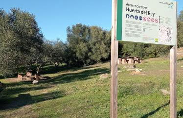 La Buganvilla, descanso entre olivares - Foto 20