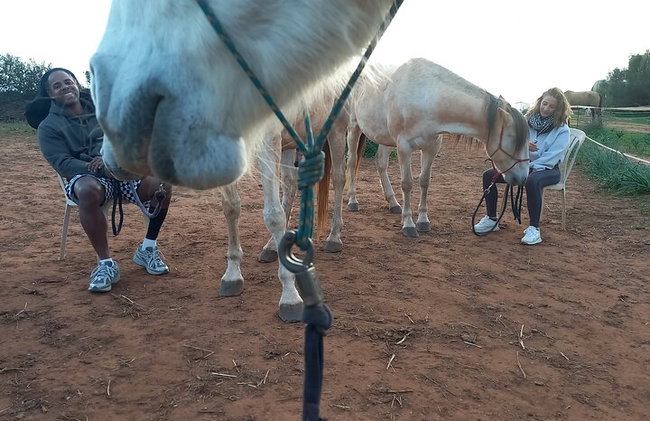 Santuario de Caballos: Un paseo por la naturaleza con Caballos Rescatados a tu lado - Foto 10