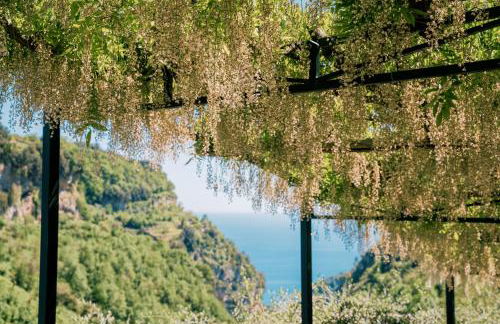 Villa Sant'Alfonso - Photo 14