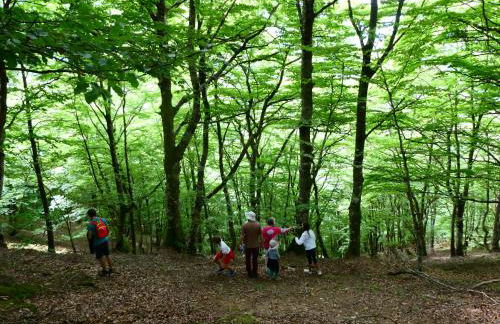 Pleine nature Pied pistes Piscine chauffée - Foto 51