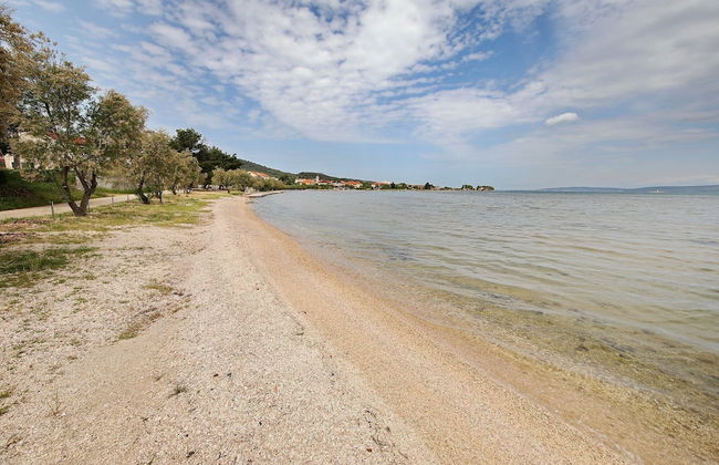 House Pansy - Foto 22