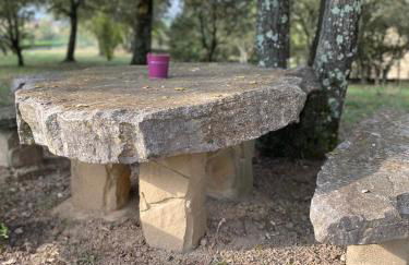 GITE LAVANDE avec piscine privée CLASSÉ 4 Étoiles - Foto 6