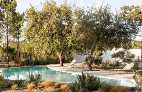 Deluxe Comporta Mundo - Foto 26