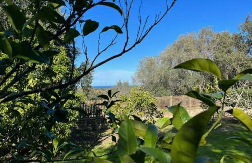 Maison Jardin d'Agrumes - Lozari - Foto 26