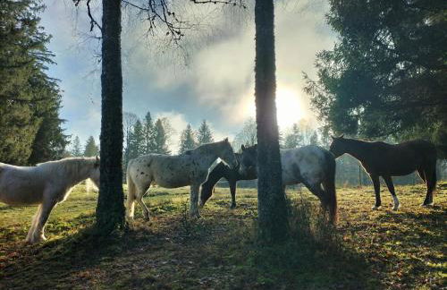 Gite les Baudy - group for 20 people - Foto 34