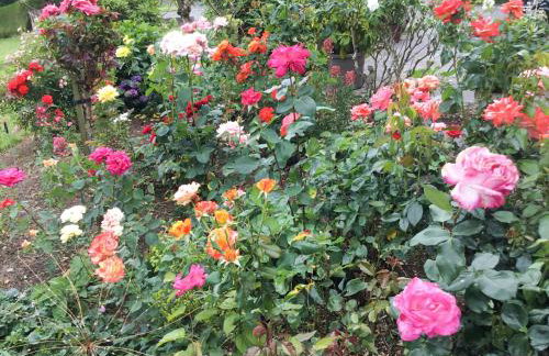 Rose Cottage - Foto 13