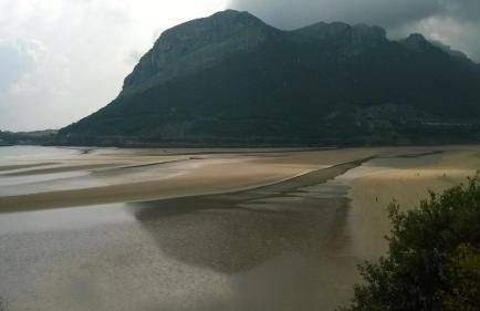 Playasonabia - Photo 34