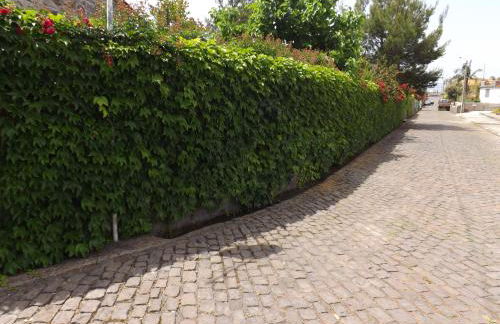 Solar Arco de São Jorge - Foto 34