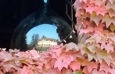 Casa delle foglie sussurranti - Foto 61