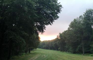 Blue Knob Bear Den (Nordic Center/Golf Course) - Foto 24