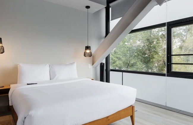 Lovely 2BR Near Polanco - Foto 12