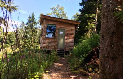 Bamff Ecotourism - Photo 81