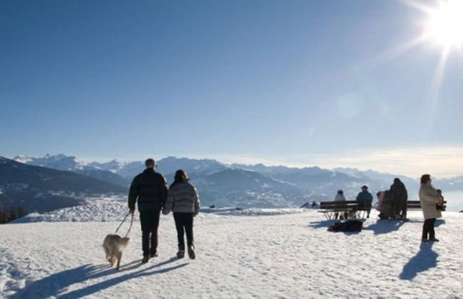 Aparthotel Helvetia Intergolf - Foto 32