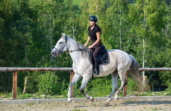 Końska Dolina - Photo 56