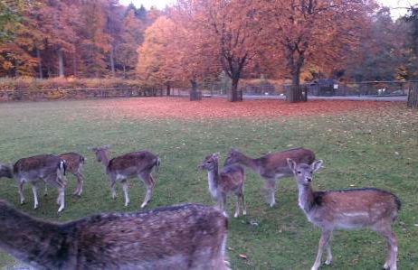 Ferienwohnung Grosso - Foto 79