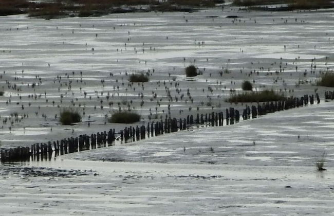 Sky Blue Comfortable Holiday Residence - Foto 16