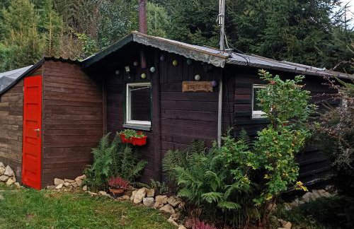 Folwark Noclegowy w Nowej Morawie - Tomaszówka na wys 600 m - Foto 1