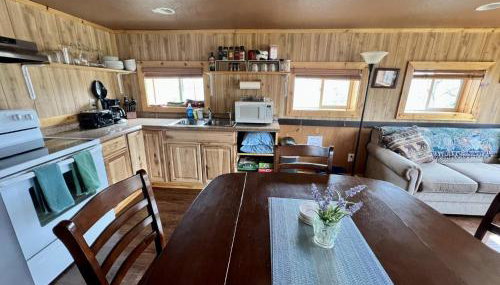 Denali Park View Family Log Cabin - Foto 3