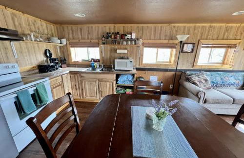 Denali Park View Family Log Cabin - Photo 3