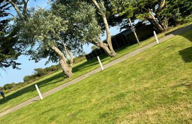 Tranquility at Sandown Bay - Photo 9