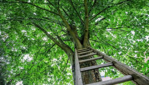 Gite Normandie - Foto 3