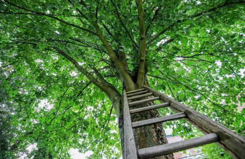 Gite Normandie - Foto 3