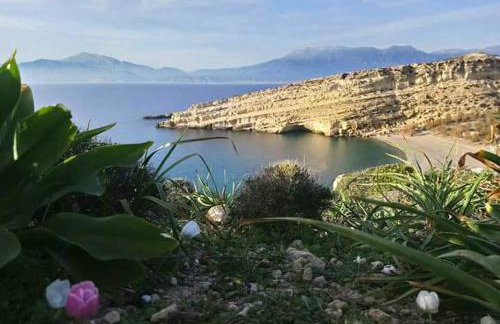 Villa Dream - Photo 23