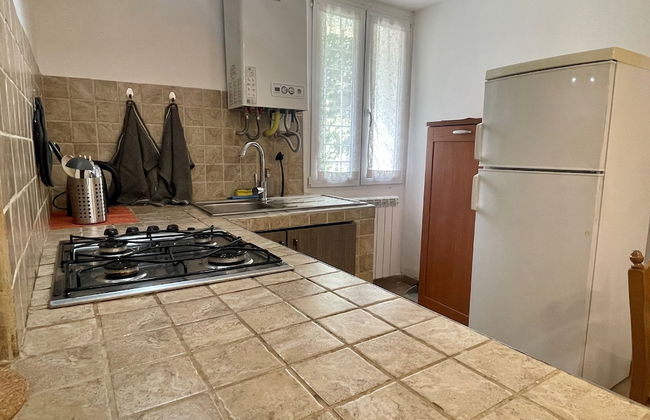 Alexander Place - Foto 15