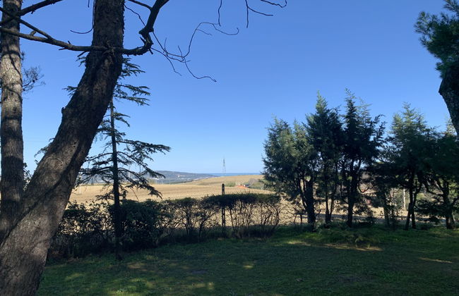 Maria Rosaria - Foto 3