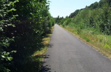 Moderne Wohnung in barockem Altstadthaus nahe Altstadt und Radweg - Photo 41