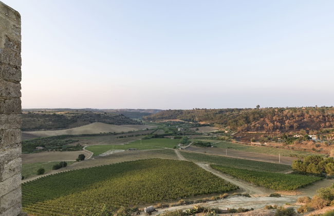 Wine Relais Feudi del Pisciotto - Foto 16