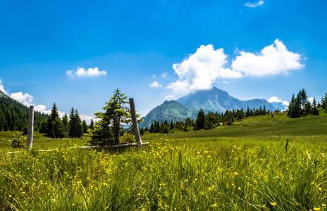 Residence Cavanis Wellness & Spa - Photo 37