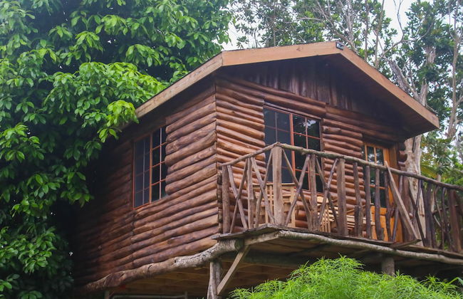 The Blue Mahoe Treehouse - Photo 34