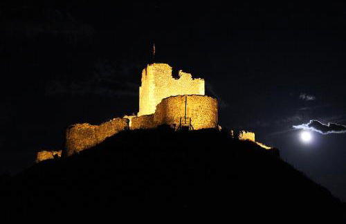 La maisonnette en bois - Photo 20