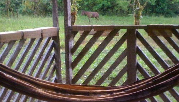 Vistas do campo da cabana