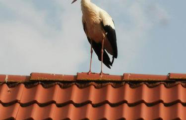 Stara Stolarnia - Foto 40