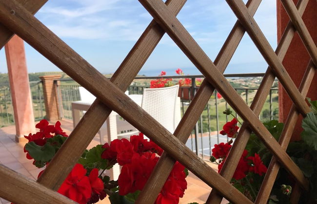 I Cardinali - Foto 35