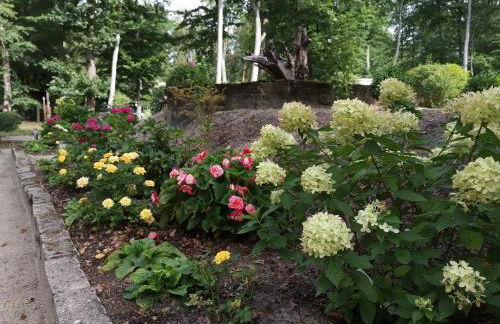 Bungalowdorf Briesensee - Foto 22