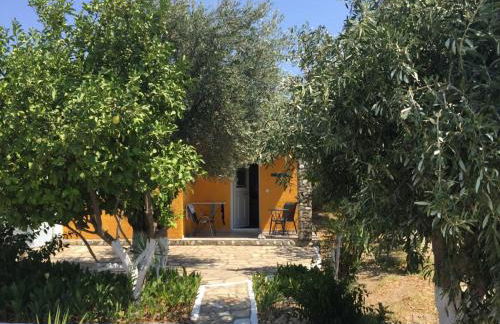 Anastasia Apartments - Foto 69