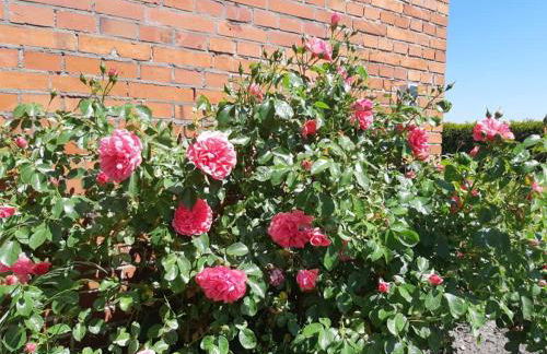 Monteurzimmer Ausma Wymeer Bunde - FeWo Vakantiehuis Heerenland - Foto 4