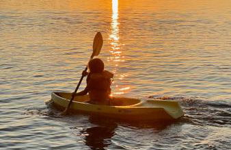 Palms in Paradise 2 Docks & Steps into Lake Murray - Foto 34