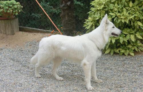 Apartamento en pleno Montseny Mas Romeu Turisme Rural - Foto 43