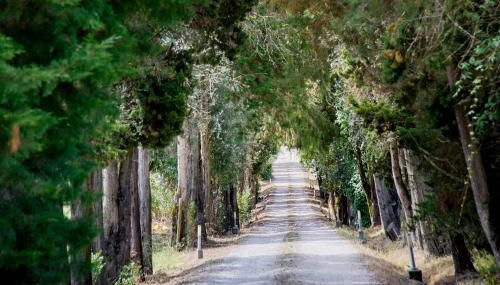 Quinta da Alcaidaria Mor - Foto 3