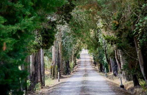 Quinta da Alcaidaria Mor - Foto 3